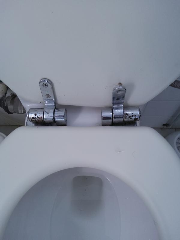 Otwórz okno opinii 1 na stronie 1