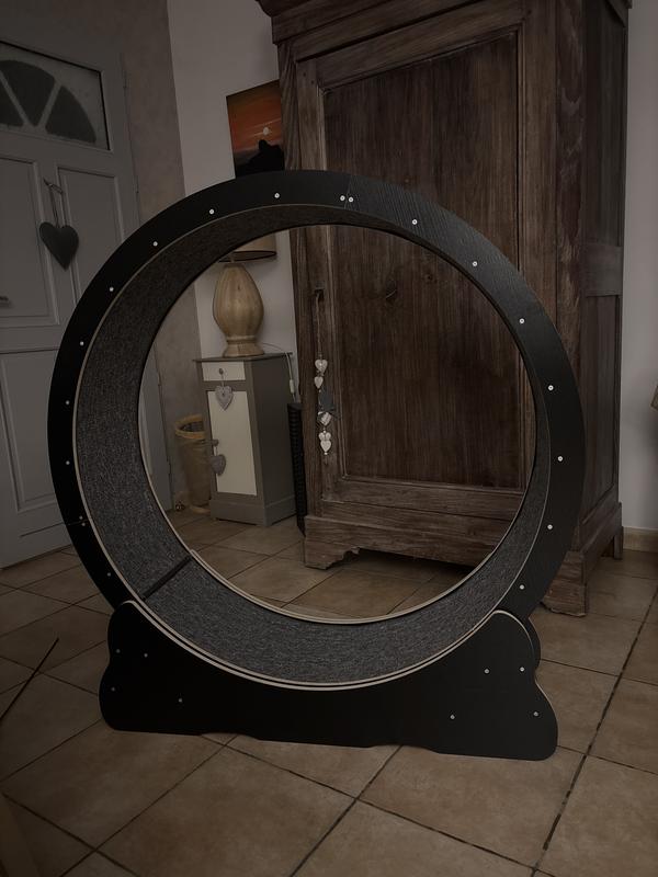 Roue D'exercice Pour Chat 100 Cm - Pour Grands Chats, Panneau Fibre Haute Densité, Supporte 11 Kg - 11