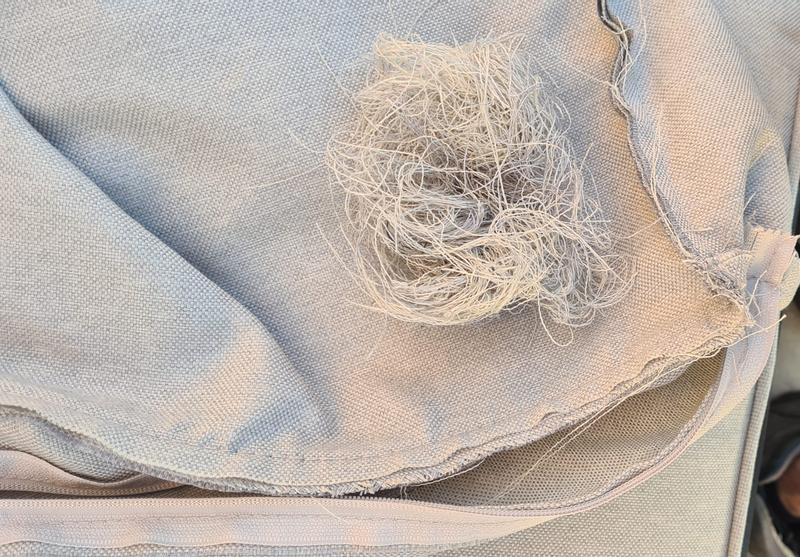 Abra o modal de avaliação 1 de 3