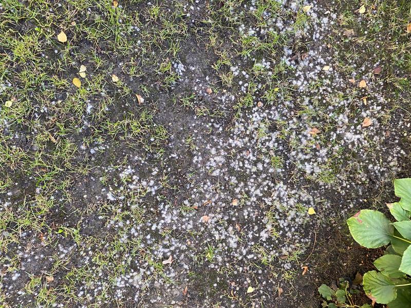 Ouvrir la fenêtre modale de l'avis 4 sur 5