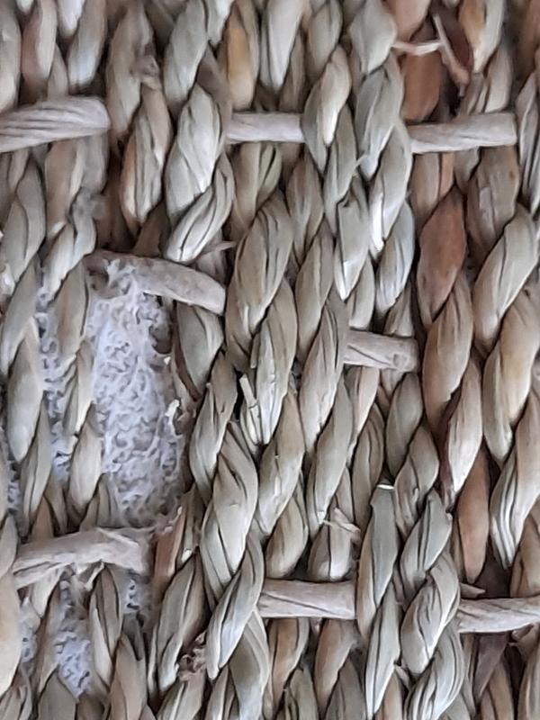 Ouvrir la fenêtre modale de l'avis 1 sur 2