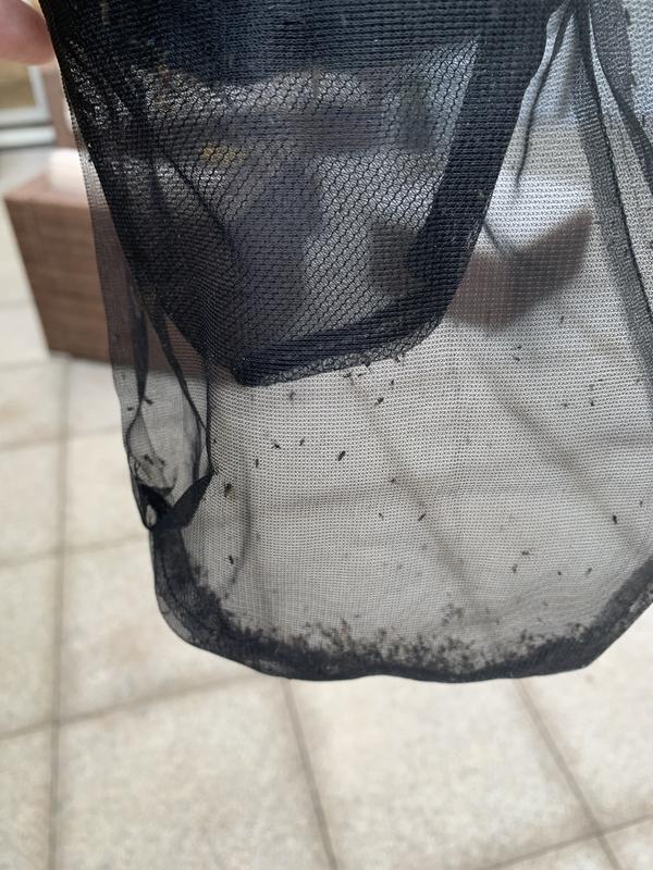 Ouvrir la fenêtre modale de l'avis 1 sur 1