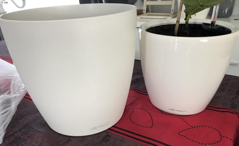 Ouvrir la fenêtre modale de l'avis 1 sur 1