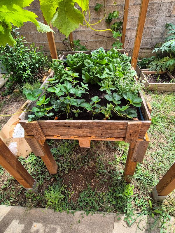 Abra o modal de avaliação 1 de 2