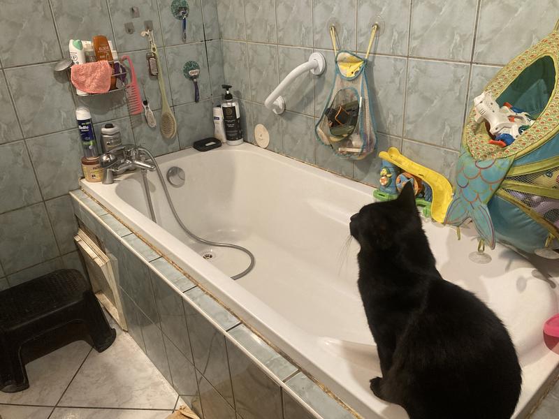 Abra o modal de avaliação 2 de 2