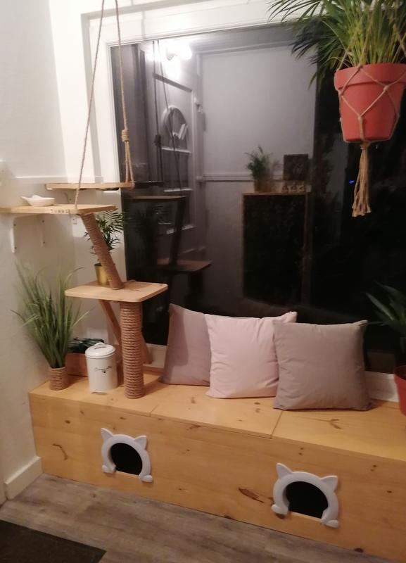 Ouvrir la fenêtre modale de l'avis 1 sur 1