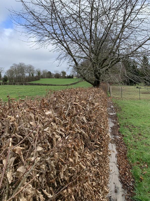 Ouvrir la fenêtre modale de l'avis 2 sur 2