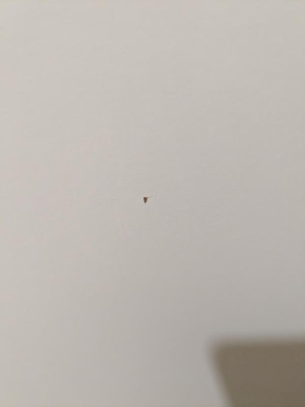 Abra o modal de avaliação 2 de 4