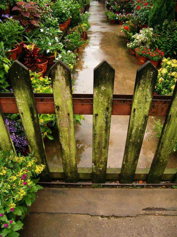 Abra o modal de avaliação 2 de 6