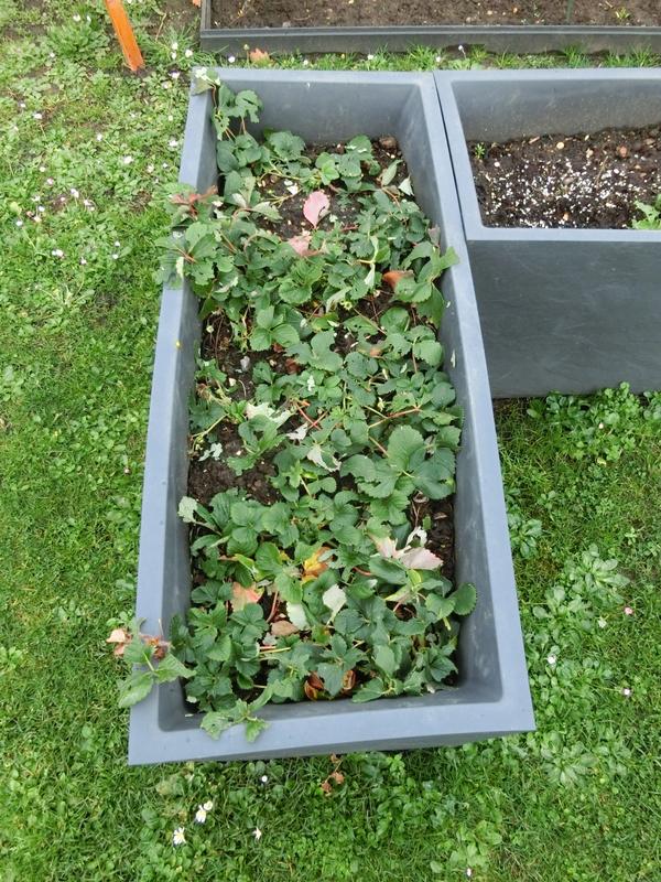 Ouvrir la fenêtre modale de l'avis 3 sur 4