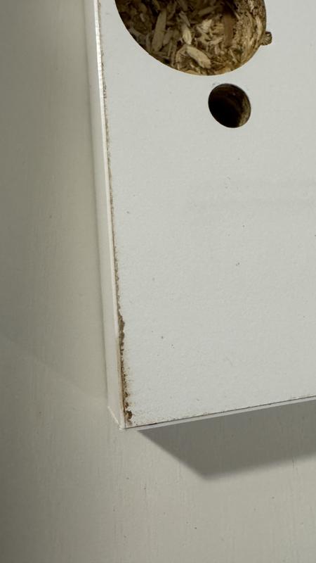 Ouvrir la fenêtre modale de l'avis 1 sur 1