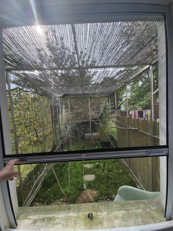 Ouvrir la fenêtre modale de l'avis 1 sur 1