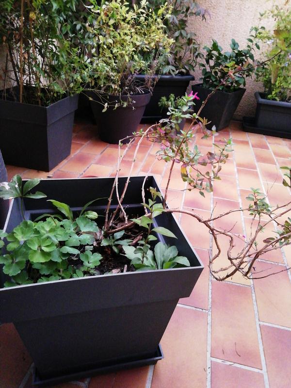 Ouvrir la fenêtre modale de l'avis 1 sur 1