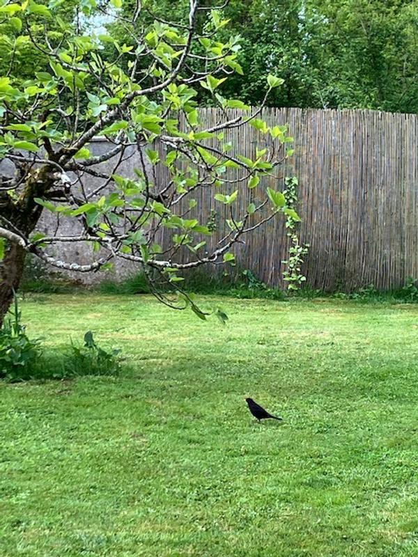 Revisione aperta modale 1 su 1