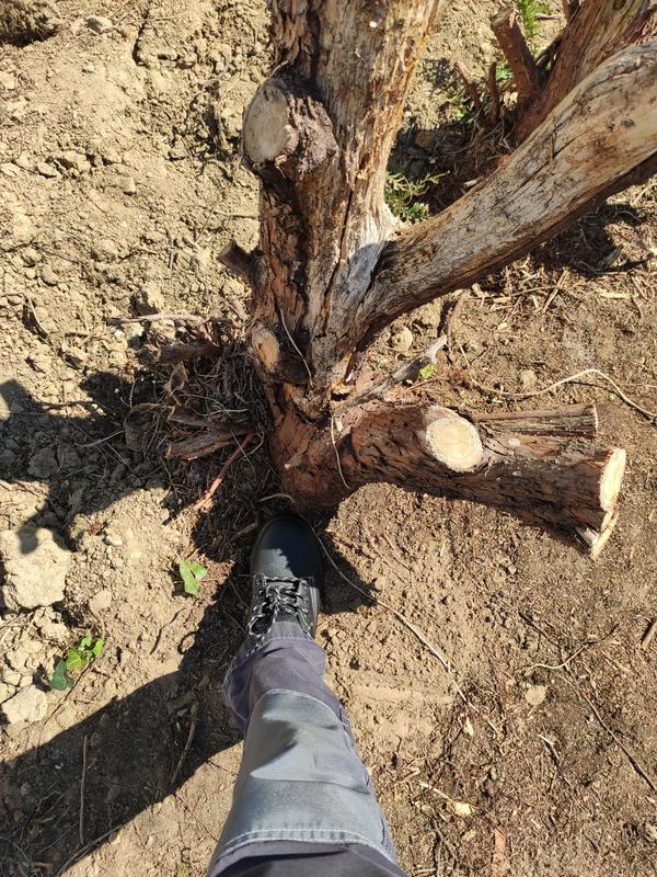 Ouvrir la fenêtre modale de l'avis 1 sur 1