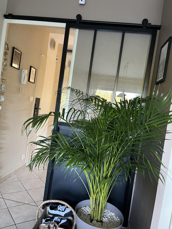 Abra o modal de avaliação 1 de 1