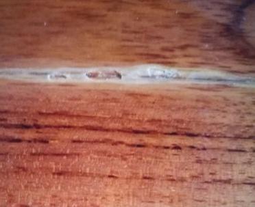 Revisione aperta modale 1 su 1