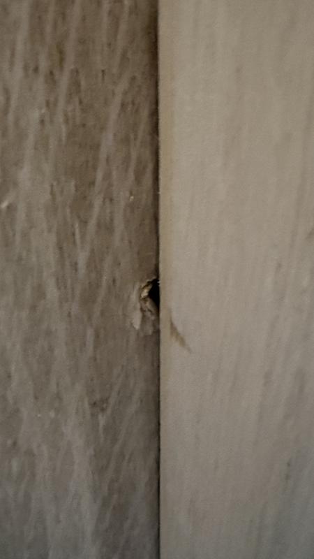 Ouvrir la fenêtre modale de l'avis 3 sur 3