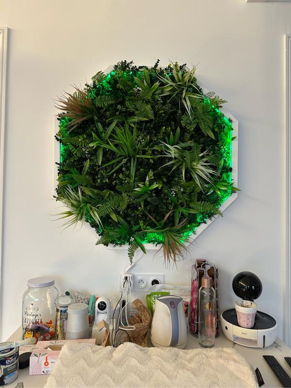 Ouvrir la fenêtre modale de l'avis 1 sur 1