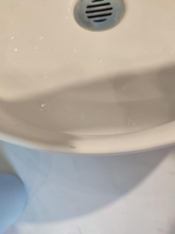 Revisione aperta modale 2 su 3