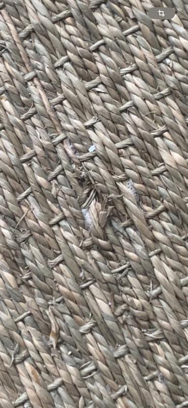 Ouvrir la fenêtre modale de l'avis 2 sur 6