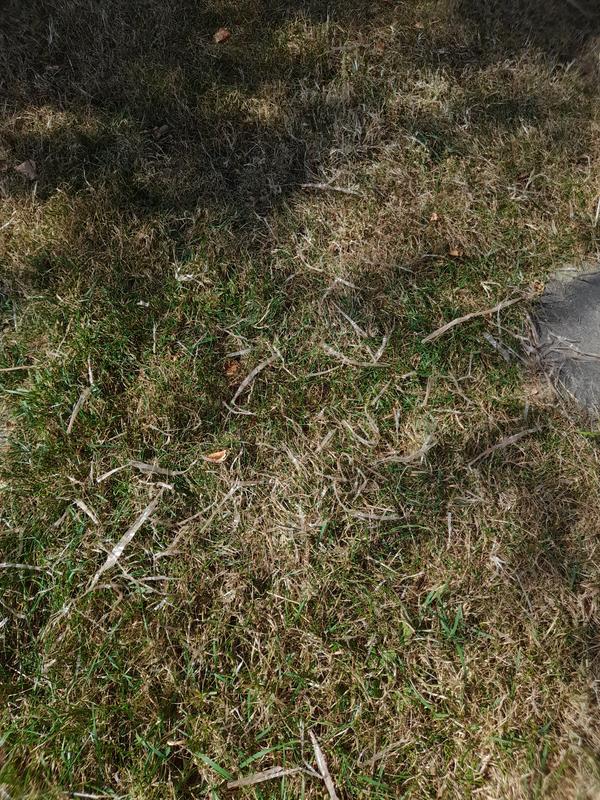 Ouvrir la fenêtre modale de l'avis 2 sur 2