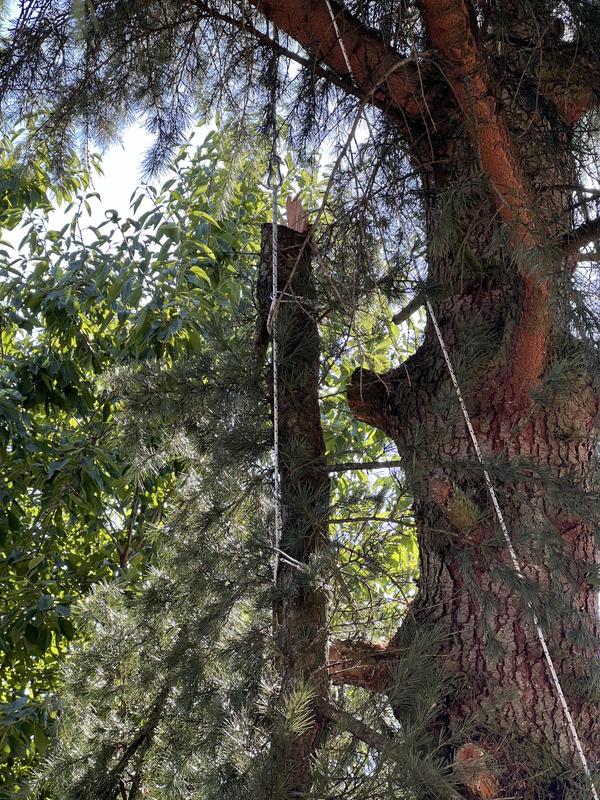 Ouvrir la fenêtre modale de l'avis 1 sur 2