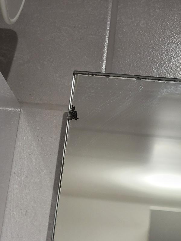 Ouvrir la fenêtre modale de l'avis 2 sur 2