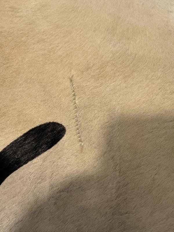 Ouvrir la fenêtre modale de l'avis 2 sur 2