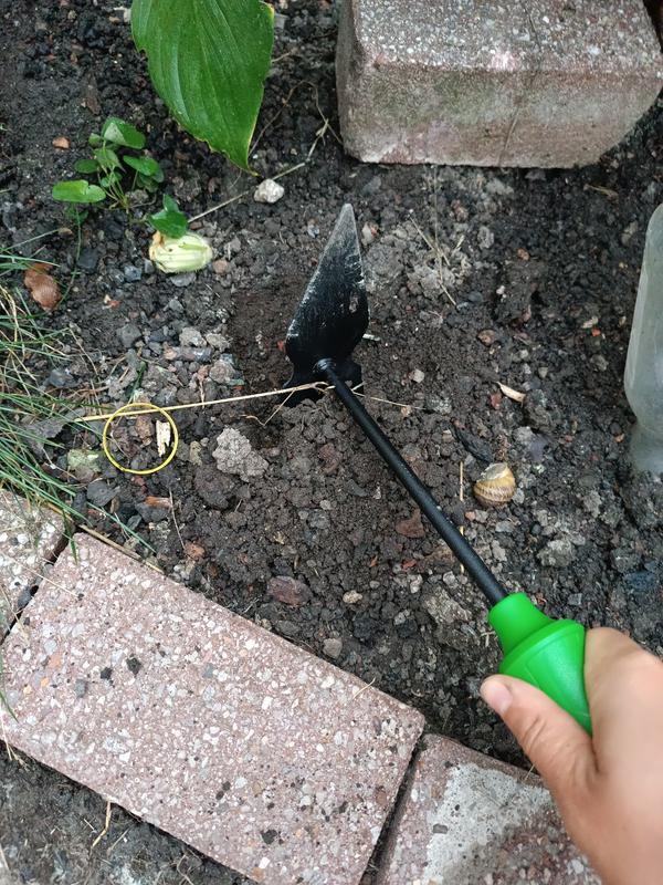 Abra o modal de avaliação 1 de 1