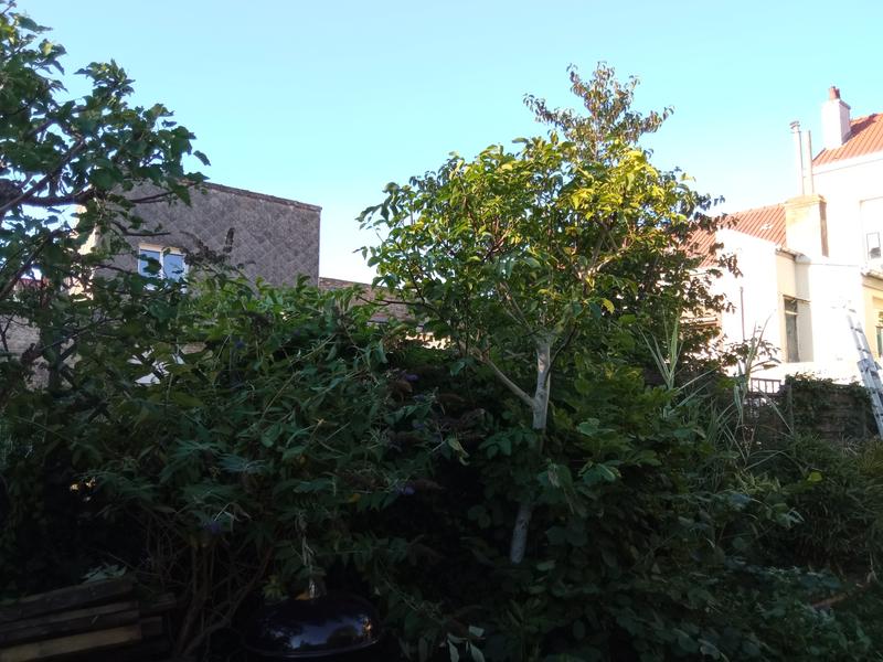 Ouvrir la fenêtre modale de l'avis 3 sur 6