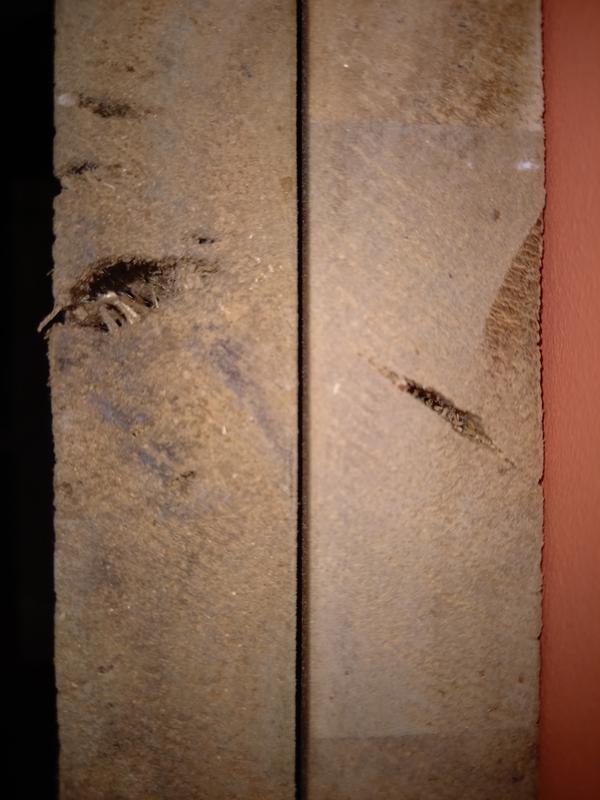 Ouvrir la fenêtre modale de l'avis 2 sur 3