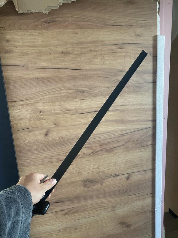 Revisione aperta modale 1 su 3