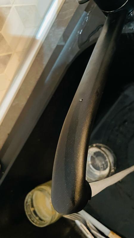 Revisione aperta modale 1 su 3