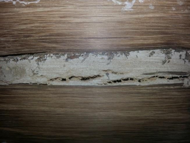 Ouvrir la fenêtre modale de l'avis 3 sur 3