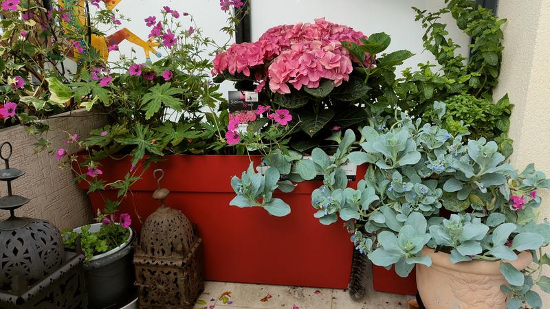 Ouvrir la fenêtre modale de l'avis 2 sur 2