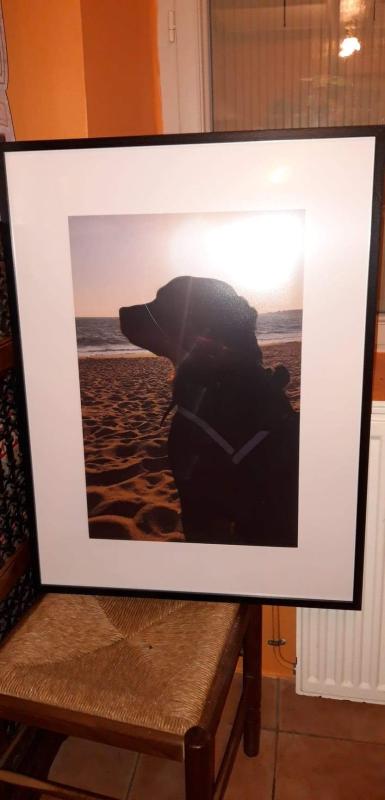 Abra o modal de avaliação 1 de 1