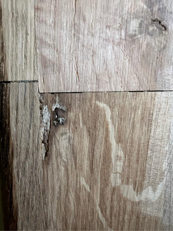 Ouvrir la fenêtre modale de l'avis 5 sur 6