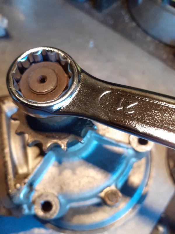 Revisione aperta modale 1 su 4