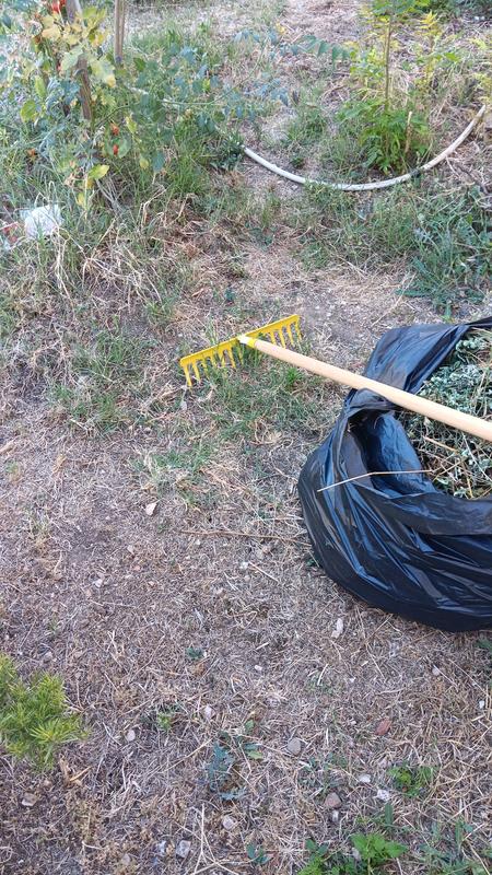 Abra o modal de avaliação 1 de 1