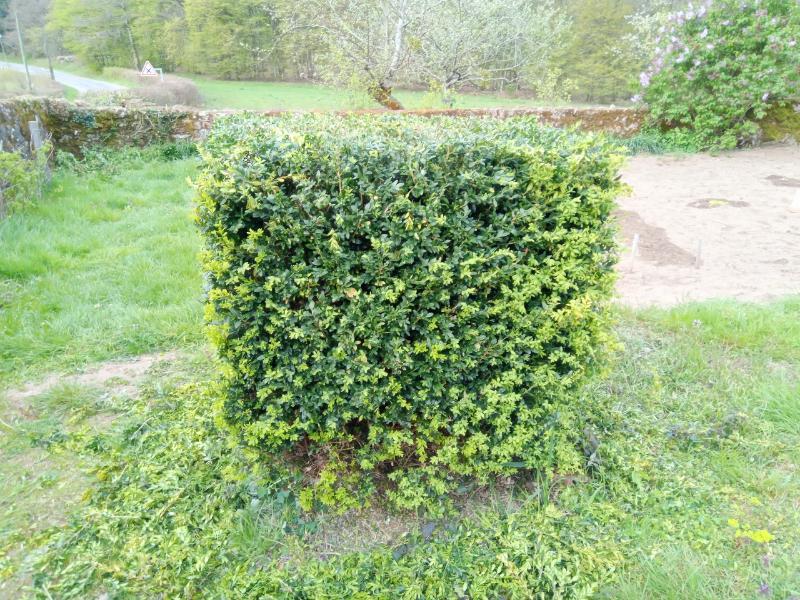 Ouvrir la fenêtre modale de l'avis 4 sur 5