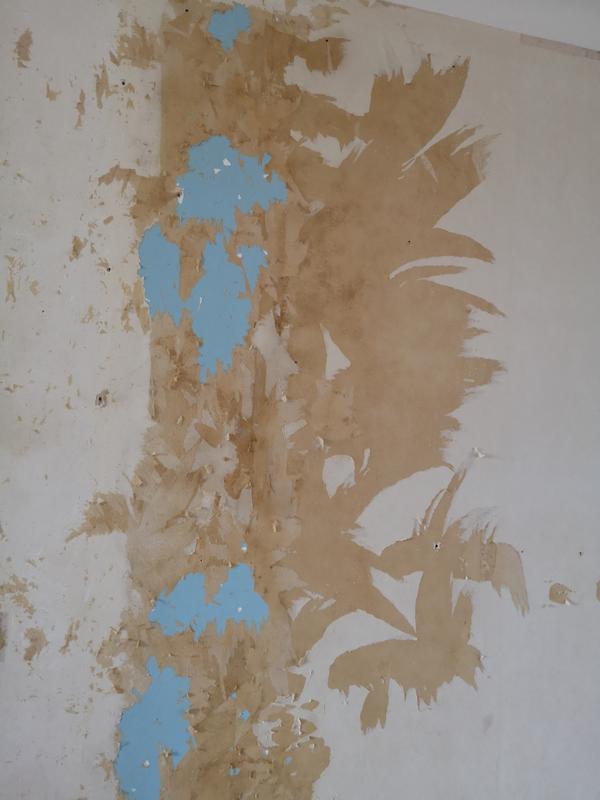 Ouvrir la fenêtre modale de l'avis 1 sur 1