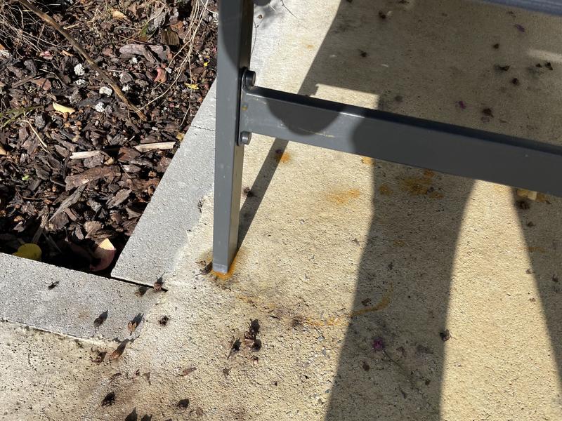 Ouvrir la fenêtre modale de l'avis 4 sur 4