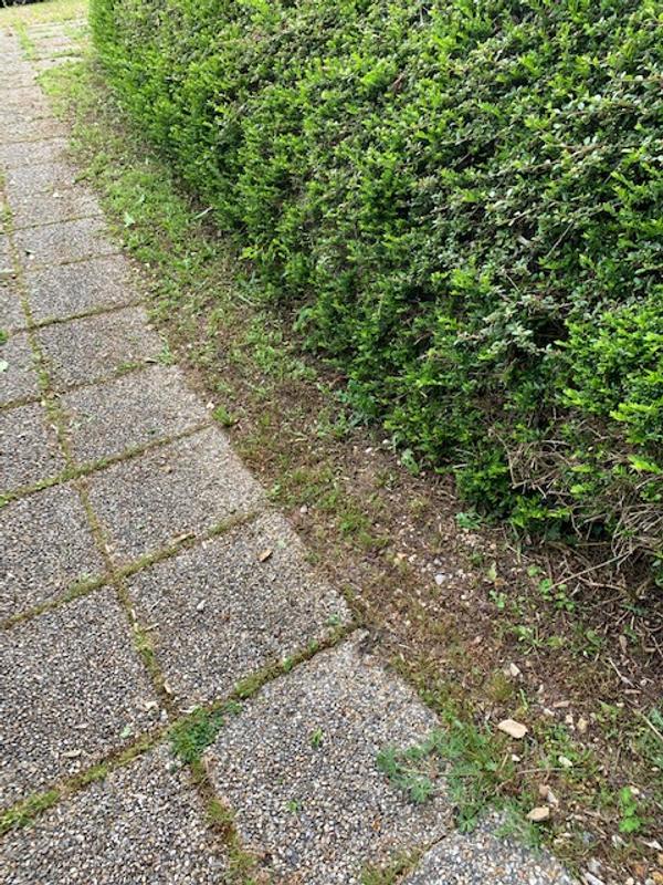 Ouvrir la fenêtre modale de l'avis 3 sur 5