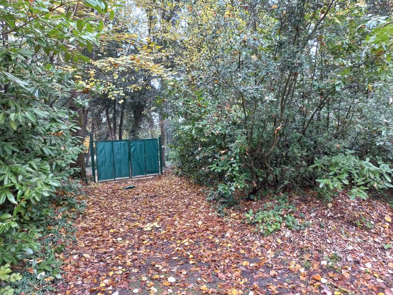 Revisione aperta modale 1 su 1