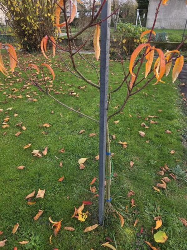 Ouvrir la fenêtre modale de l'avis 2 sur 4