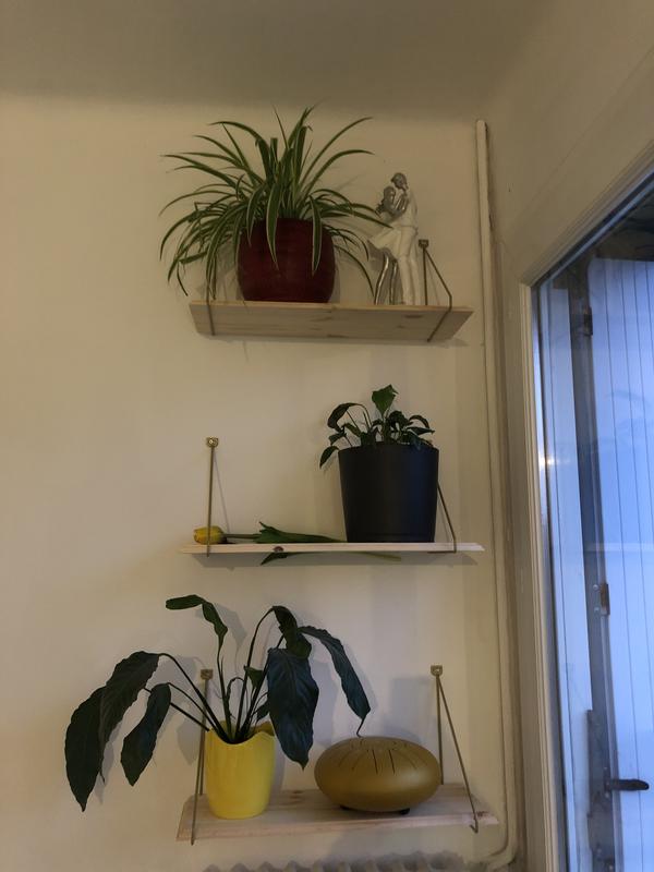 Ouvrir la fenêtre modale de l'avis 1 sur 1