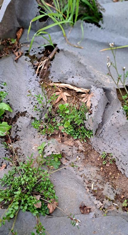 Ouvrir la fenêtre modale de l'avis 2 sur 2