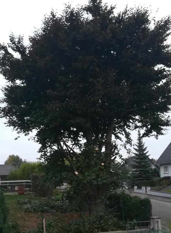 Ouvrir la fenêtre modale de l'avis 1 sur 2