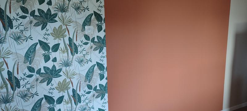 Ouvrir la fenêtre modale de l'avis 1 sur 1